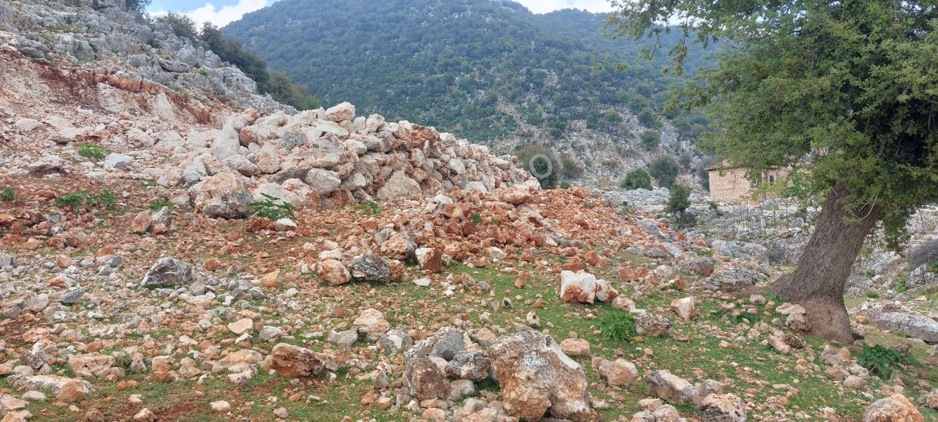 Yerleşimde Ormana Komşu Yollu Hakim Konumda Sahil 20 Dk - Görsel 19