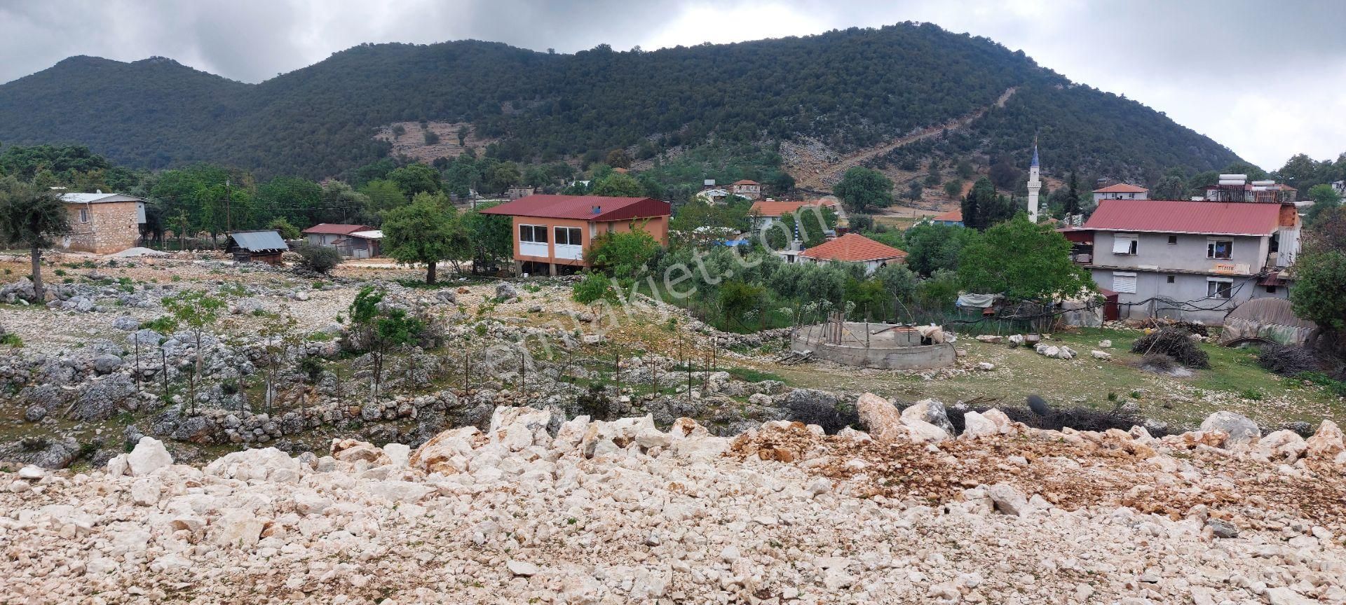 Yerleşimde Ormana Komşu Yollu Hakim Konumda Sahil 20 Dk - Görsel 16