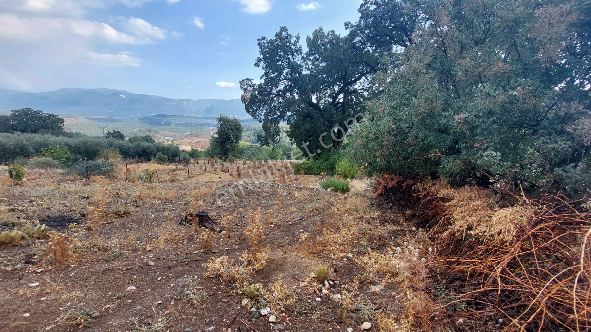 Sahile 30 Dk. Da Yeni Gömbe Yolu Üzeri İki Ev İmarlı Abonelikli - Görsel 4