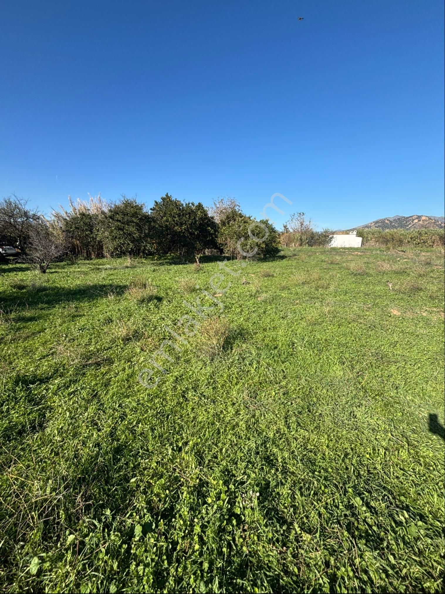 Sezgin Emlak Dan Aydın Nazilli Arslanlı Mahallesinde Satılık Hobi Bahçesi - Görsel 3