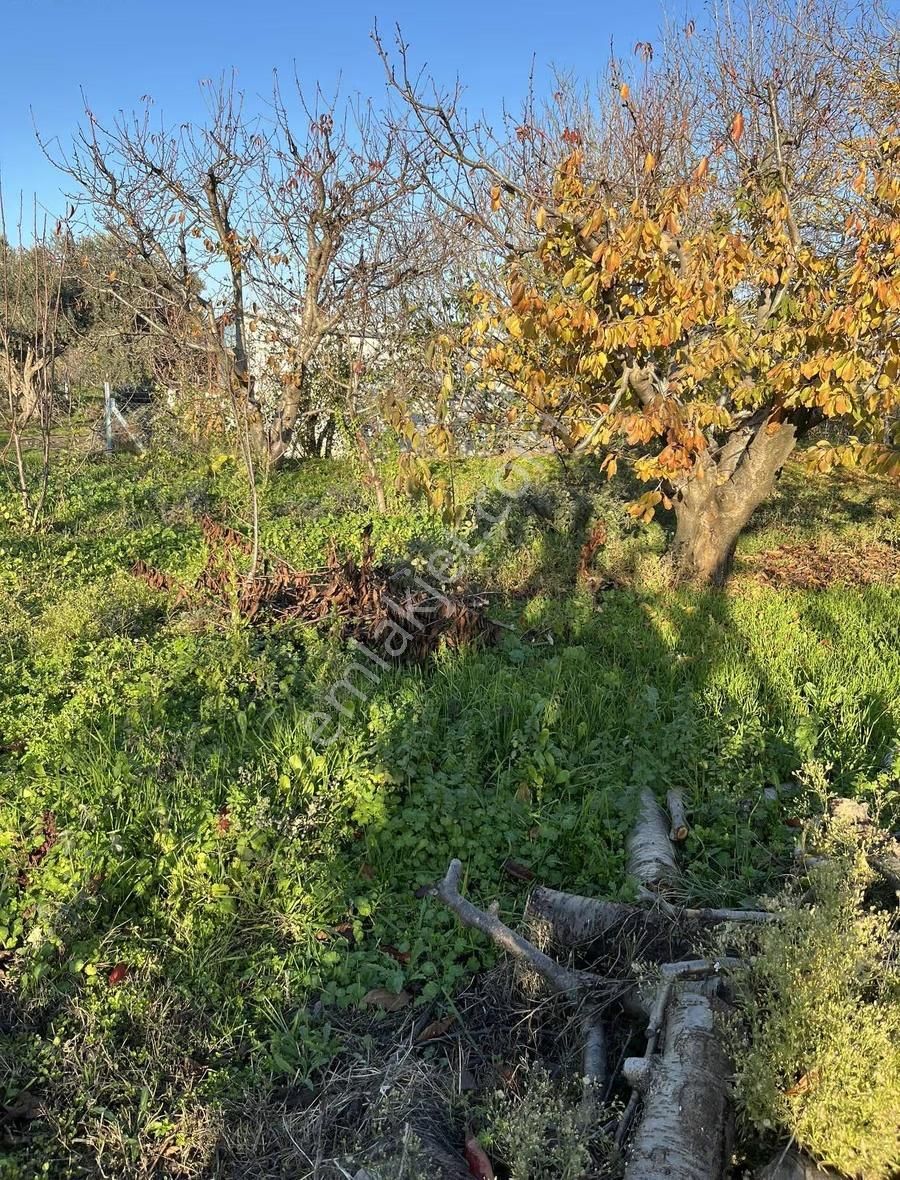 Kemalpaşa Armutluda Sanayi Karşısı 1380m2 Tek Tapu Bahçe - Görsel 7