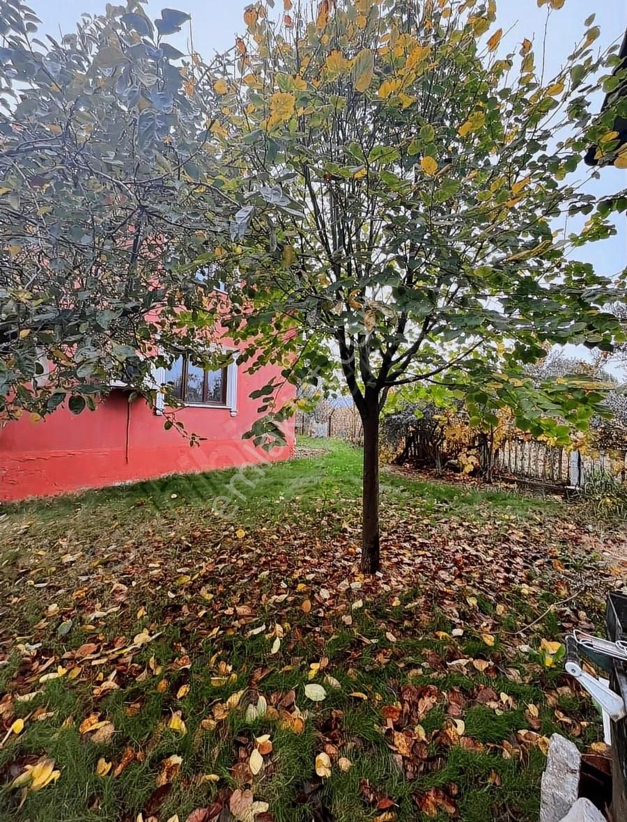 Rass Yapı'dan Kemalpaşa Çiniliköy'de 3+1 Kiralık Villa - Görsel 3