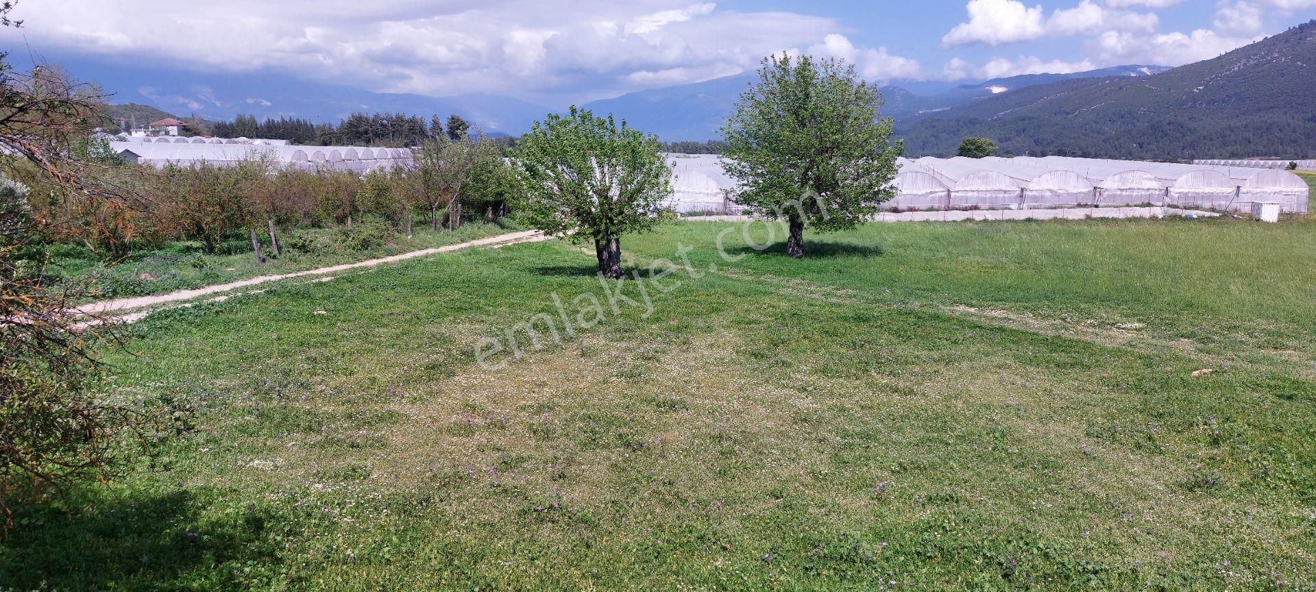 Kasaba Merkezde 250 Mkvilla İmarlı Altyapılı Yollu Arsa Fırsatı!