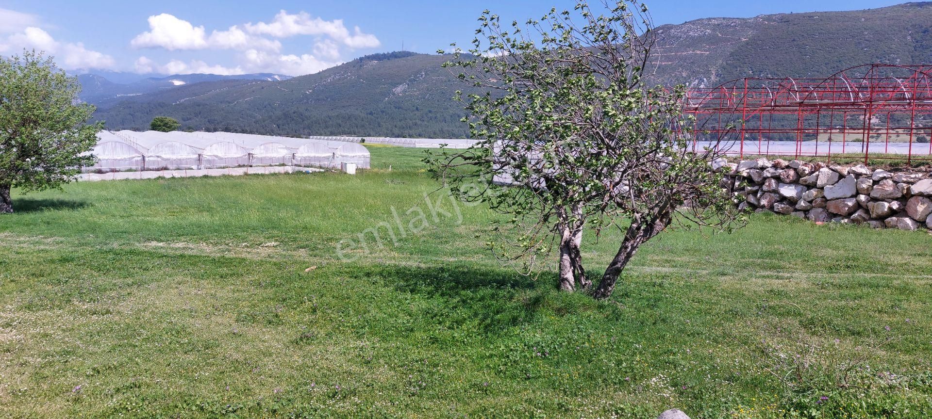 Kasaba Merkezde 250 Mkvilla İmarlı Altyapılı Yollu Arsa Fırsatı! - Görsel 9