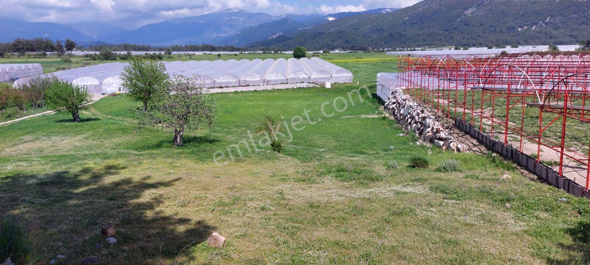 Kasaba Merkezde 250 Mkvilla İmarlı Altyapılı Yollu Arsa Fırsatı! - Görsel 12