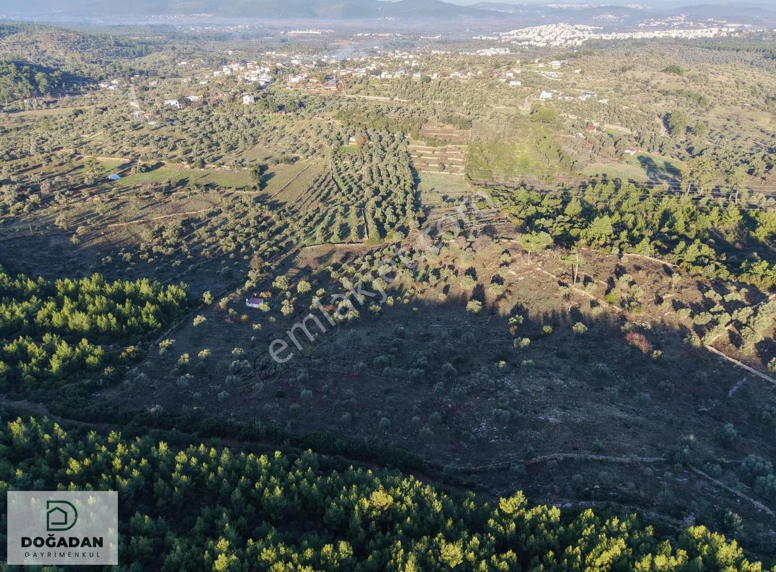 Doğadan Gayrımenkuldan Satılık Tarla - Görsel 3