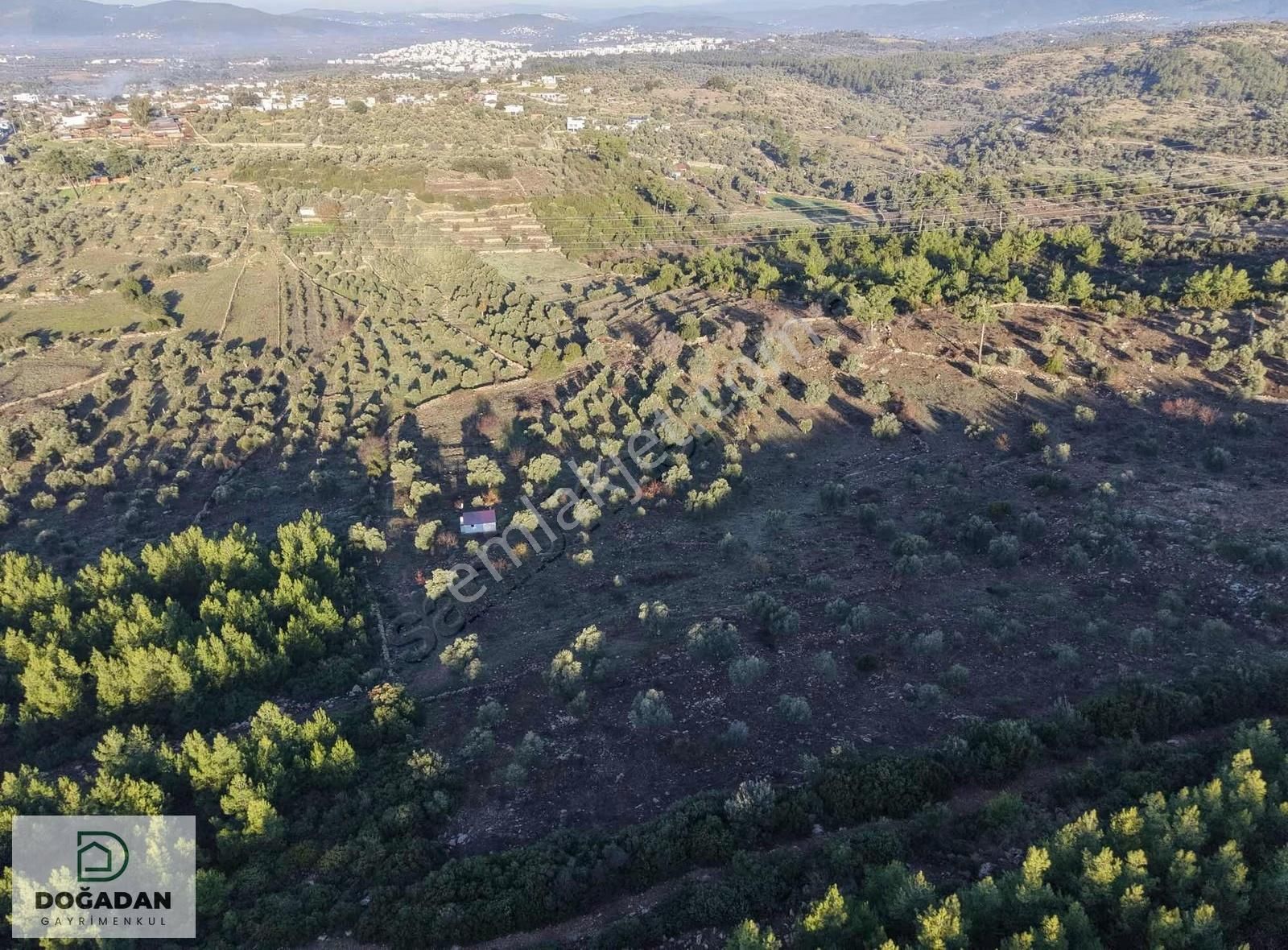 Doğadan Gayrımenkuldan Satılık Tarla