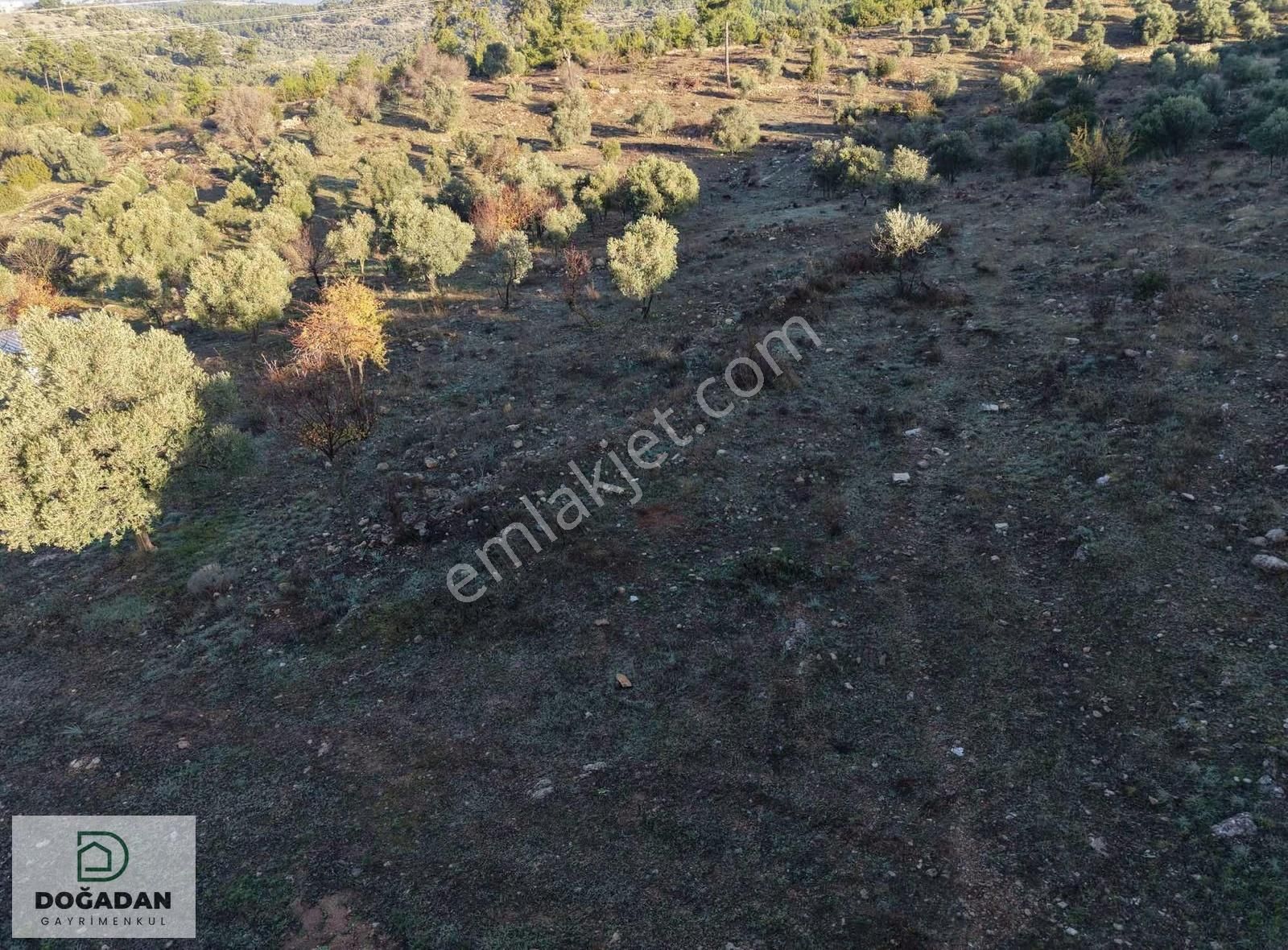 Doğadan Gayrımenkuldan Satılık Tarla - Görsel 2