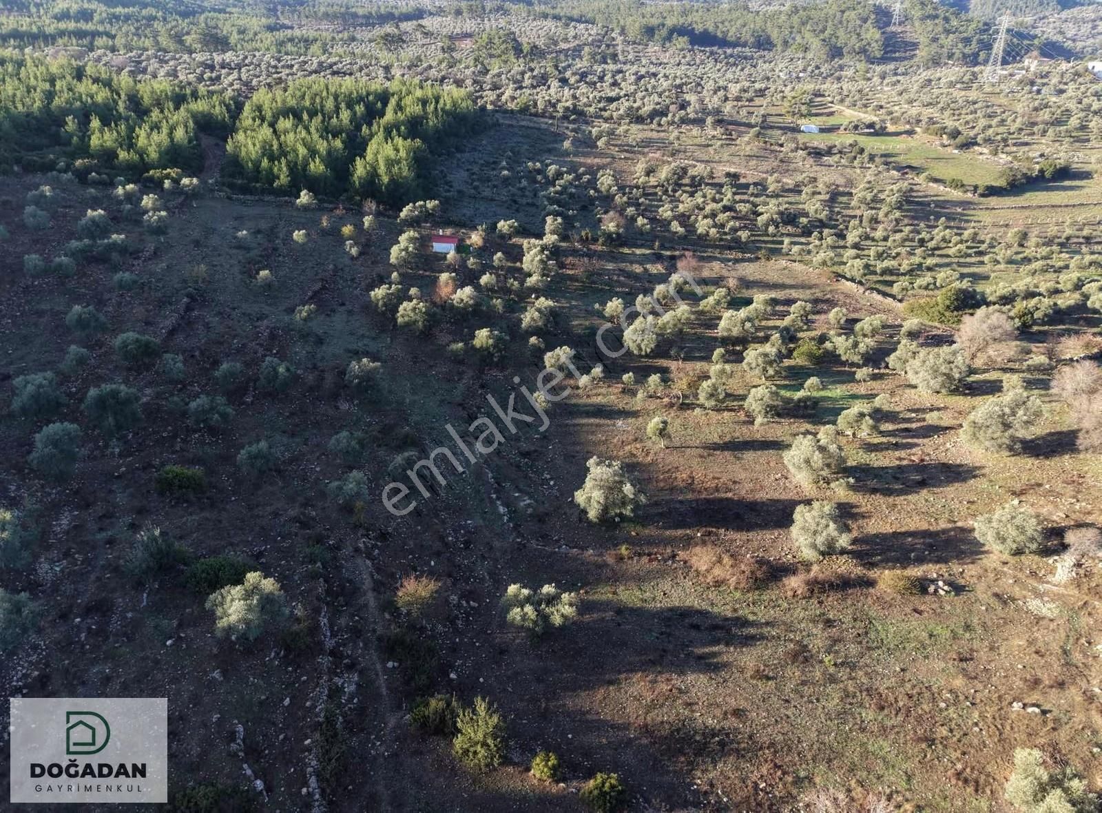 Doğadan Gayrımenkuldan Satılık Tarla - Görsel 8