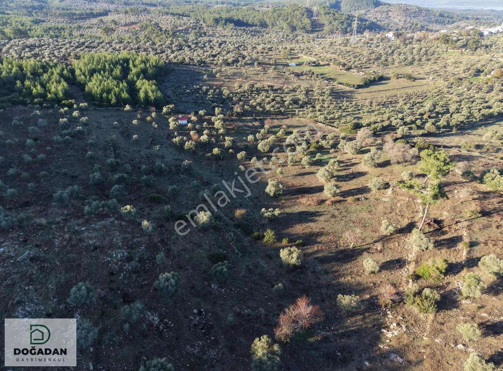 Doğadan Gayrımenkuldan Satılık Tarla - Görsel 4