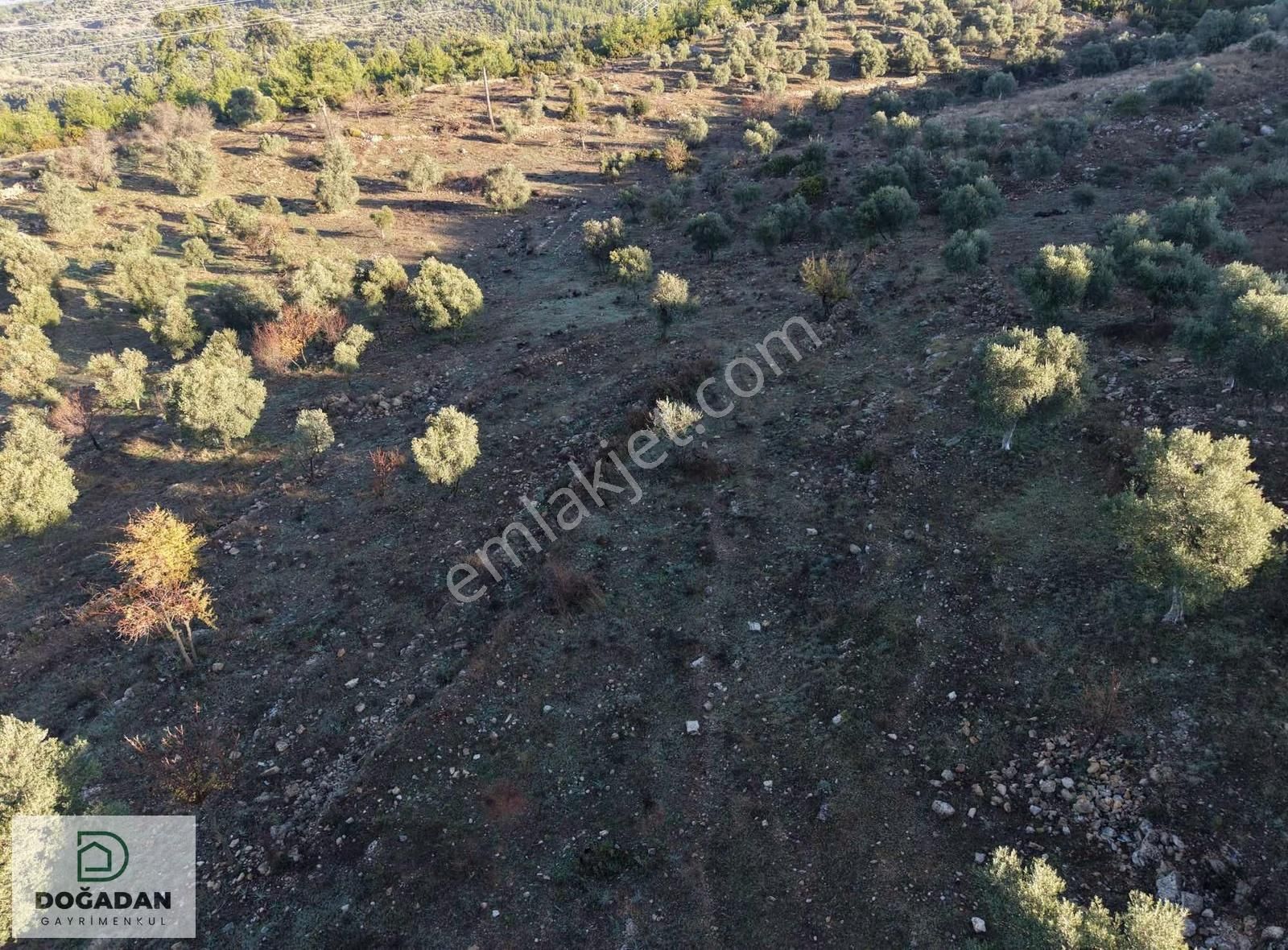 Doğadan Gayrımenkuldan Satılık Tarla - Görsel 5