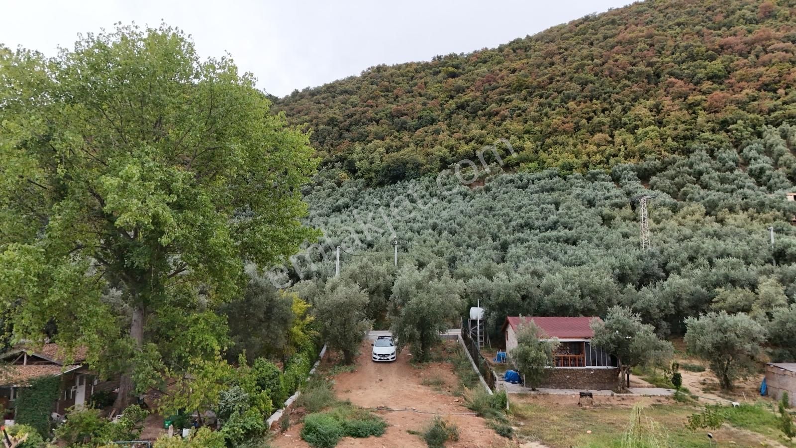İznik Müşküle Göle Sıfır 234 M² Elektrik & Su Mevcut - Görsel 13