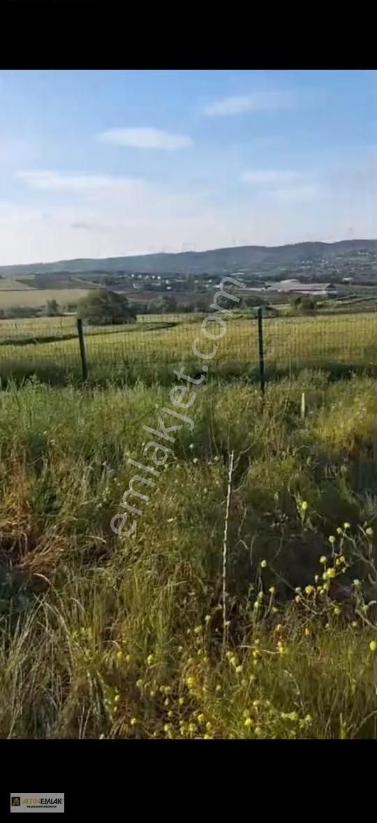 Çatalca Ovayenice De Hisseli Tarla Evi Oturuma Hazır - Görsel 5