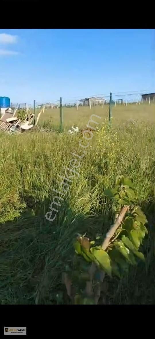 Çatalca Ovayenice De Hisseli Tarla Evi Oturuma Hazır - Görsel 11