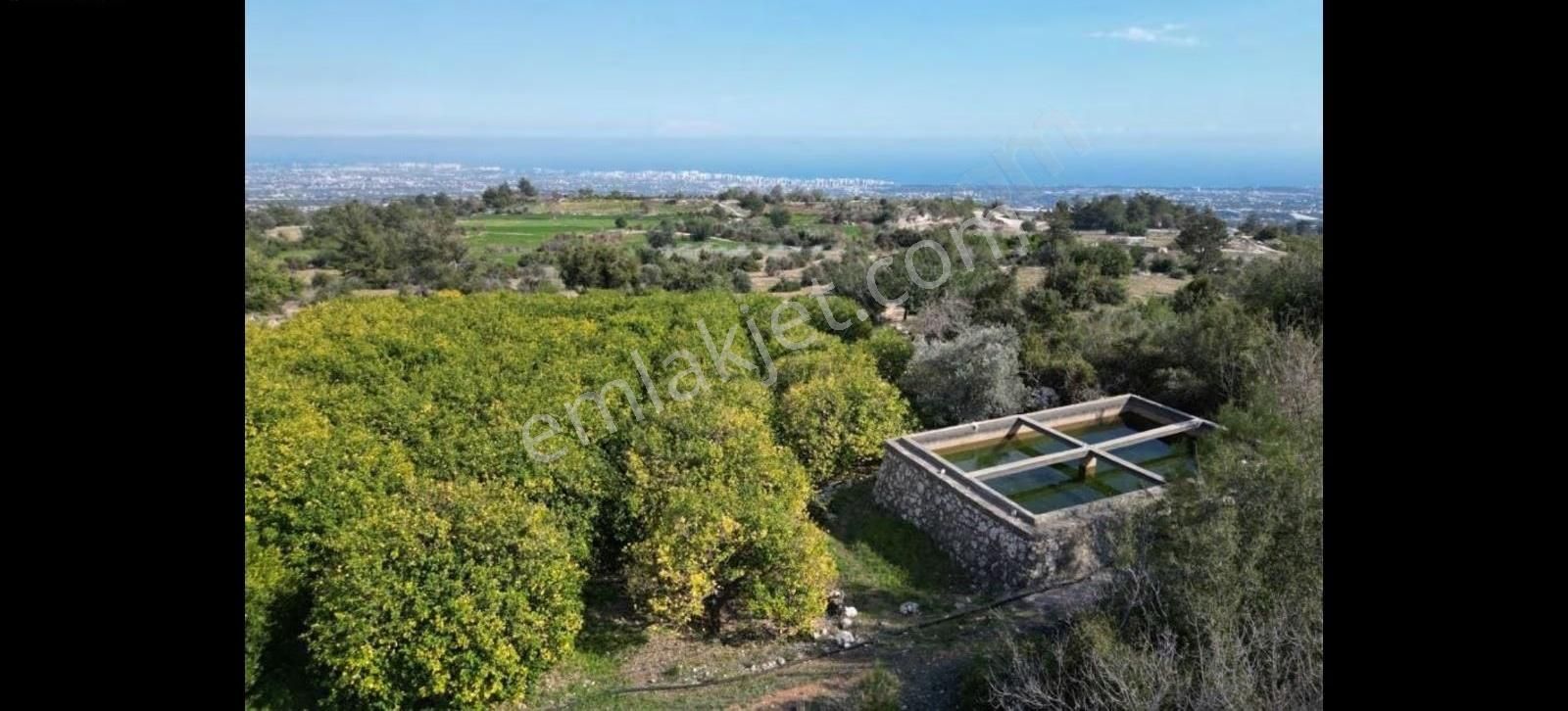 Genç Emlaktan Erdemli'de Satılık 5080m Limon Bahçesi. - Görsel 7