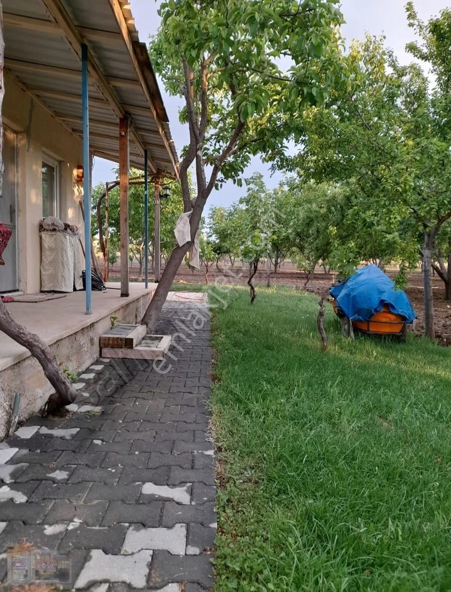 Ortadoğu'dan Ilıca Mah. Satılık Çiflik Evi - Görsel 12