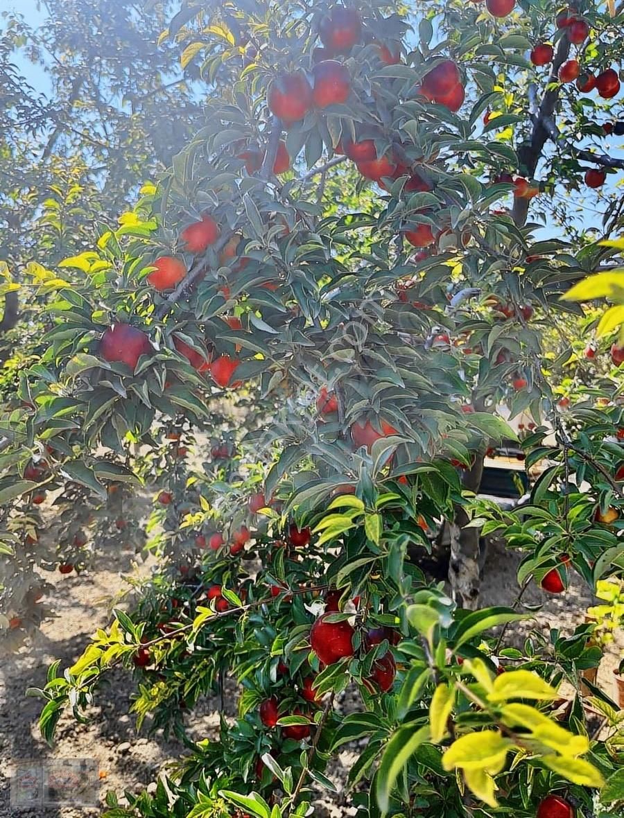 Ortadoğu'dan Ilıca Mah. Satılık Çiflik Evi - Görsel 24