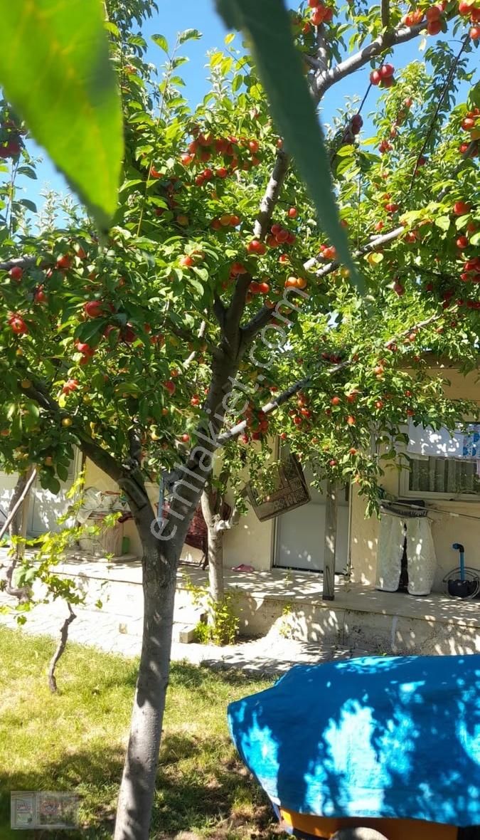 Ortadoğu'dan Ilıca Mah. Satılık Çiflik Evi - Görsel 3