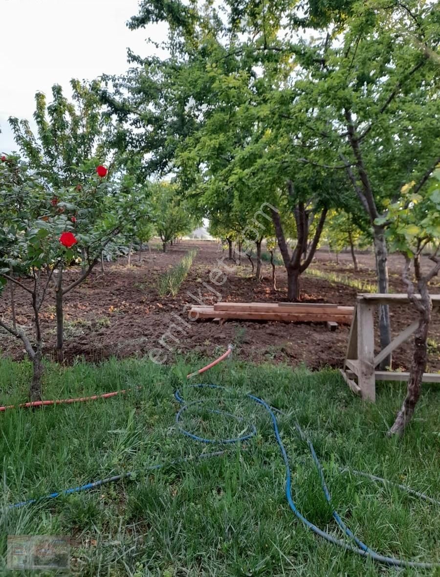 Ortadoğu'dan Ilıca Mah. Satılık Çiflik Evi - Görsel 32