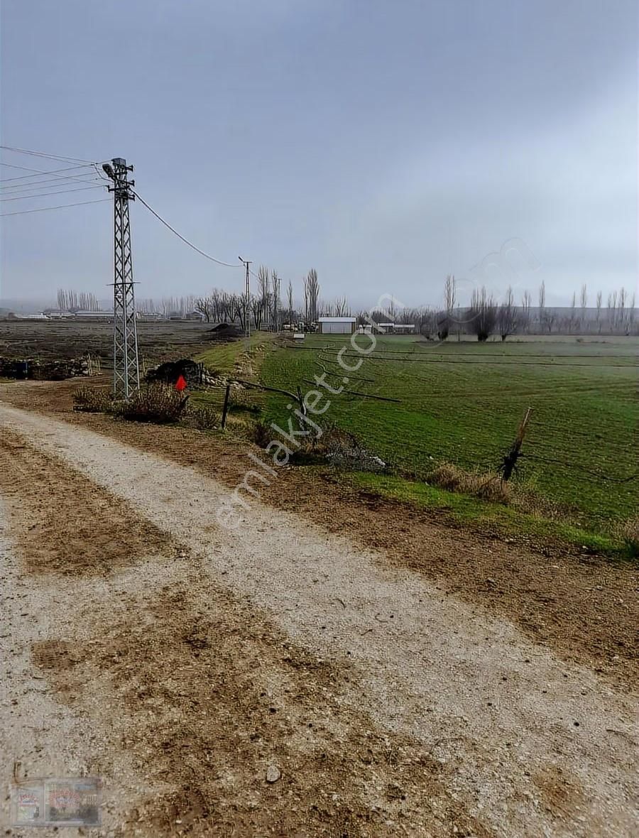 Ortadoğu'dan Ilıca Mah. Satılık Çiflik Evi - Görsel 35