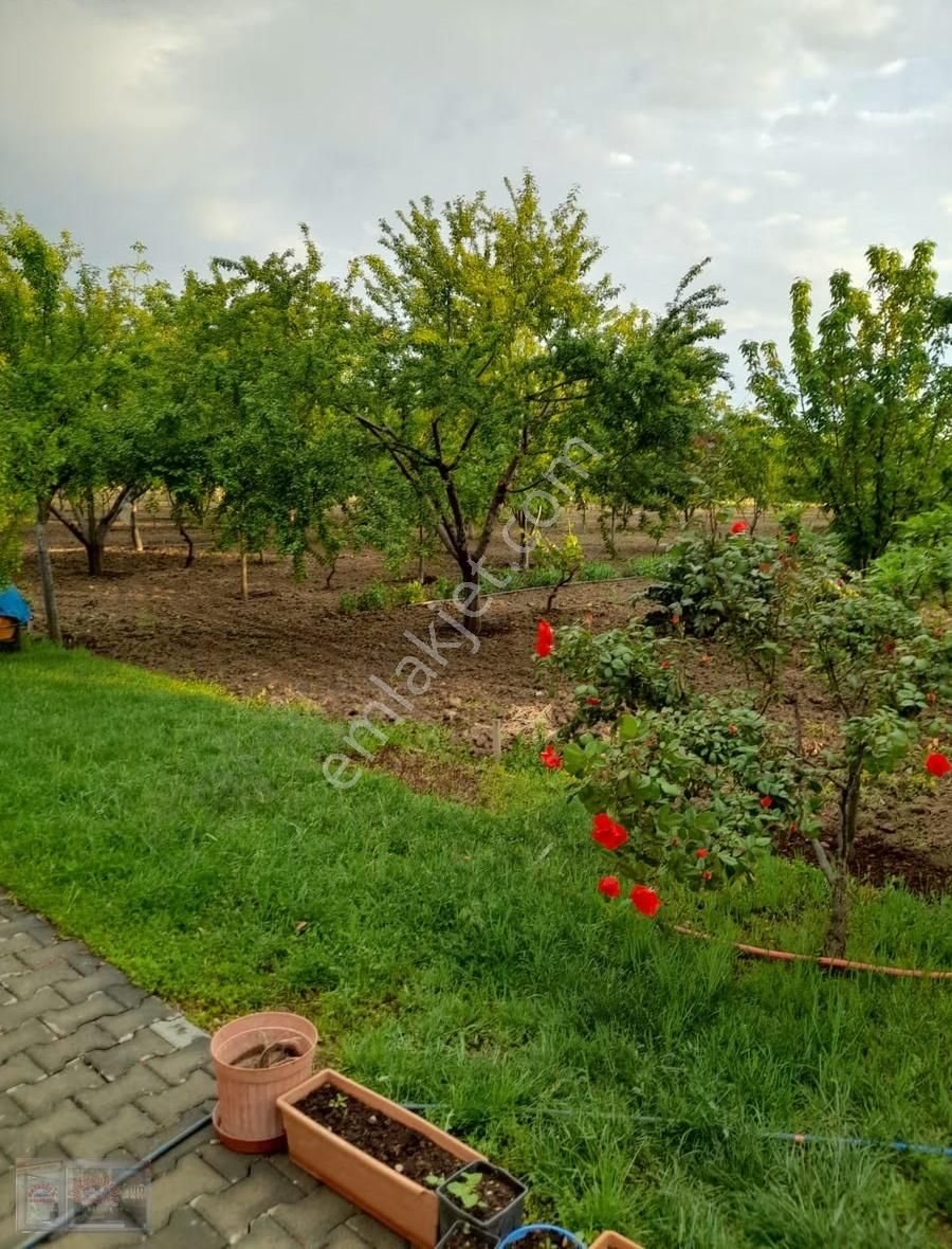 Ortadoğu'dan Ilıca Mah. Satılık Çiflik Evi - Görsel 27