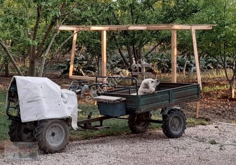 Ortadoğu'dan Ilıca Mah. Satılık Çiflik Evi - Görsel 4