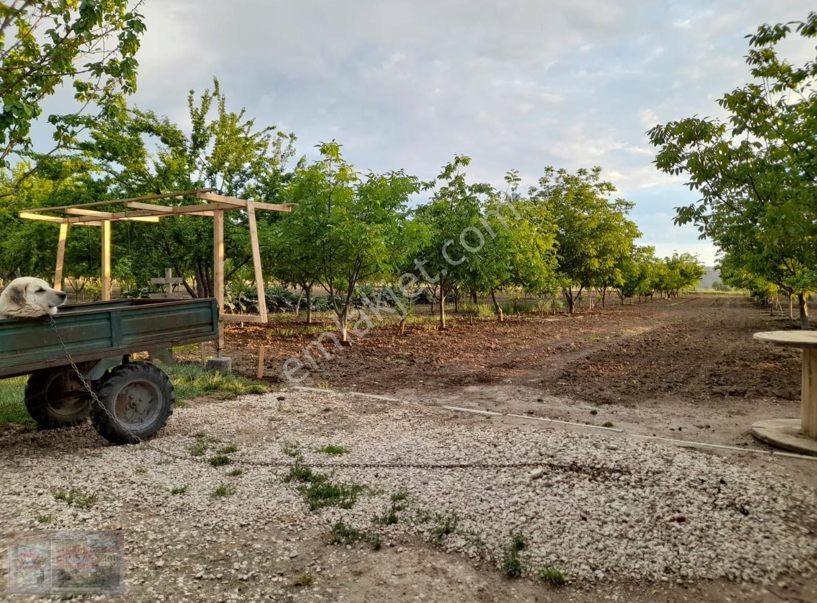 Ortadoğu'dan Ilıca Mah. Satılık Çiflik Evi - Görsel 29