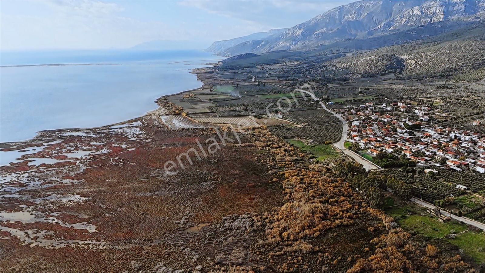 Deniz Manzaralı Doğanbey'de Villa Arsası - Görsel 3
