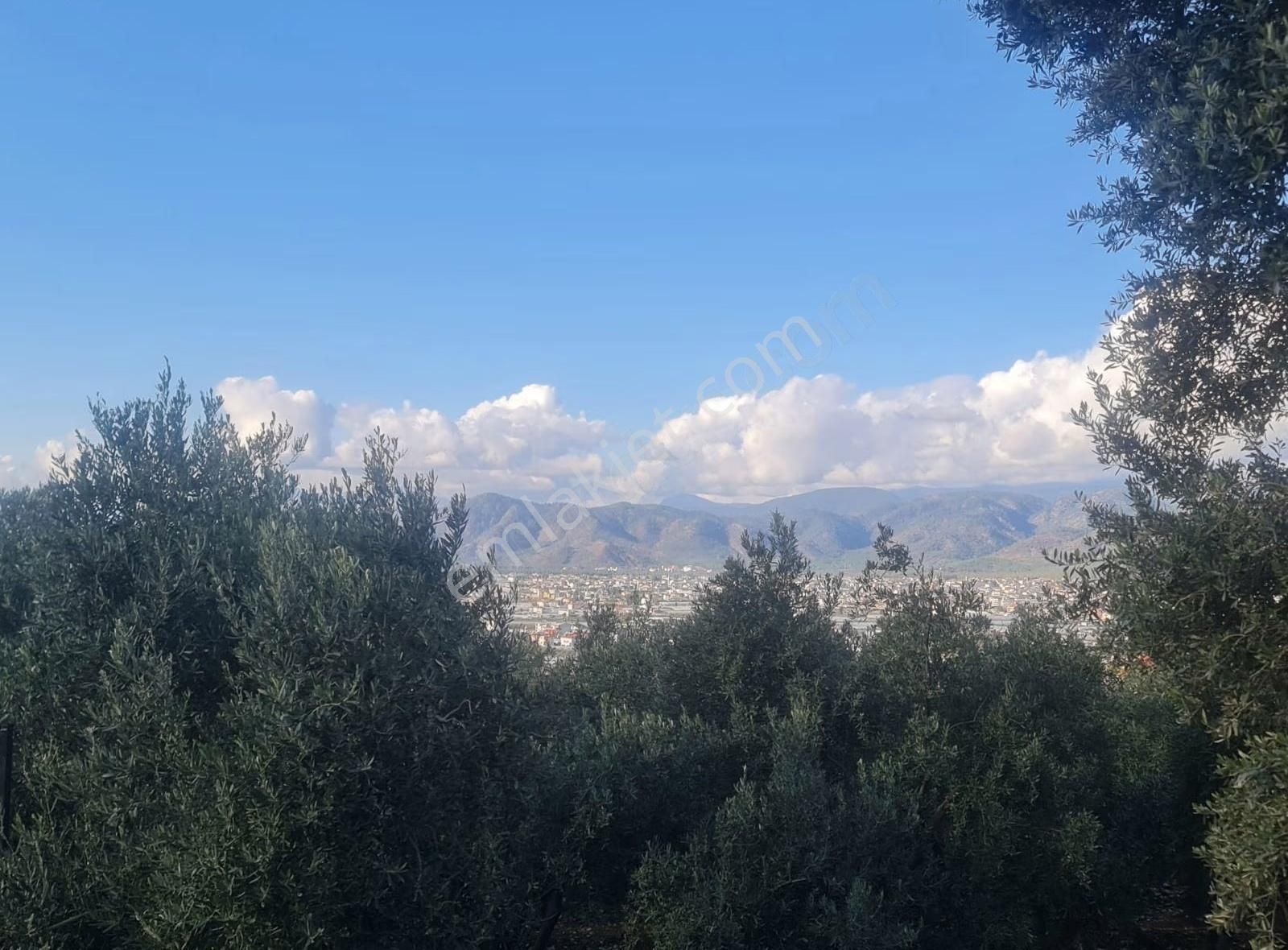 Fethiye Esenköy Bademlik Satılık Fırsat Arazi - Görsel 3