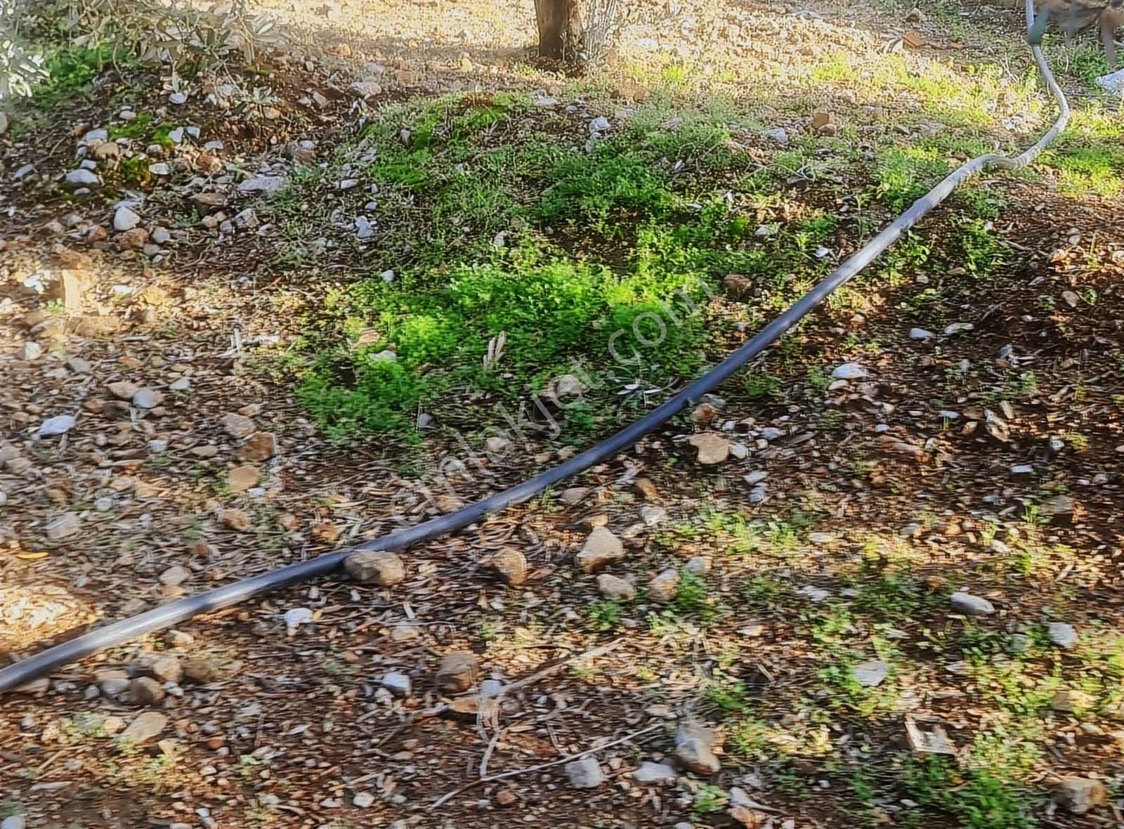 Fethiye Esenköy Bademlik Satılık Fırsat Arazi - Görsel 15