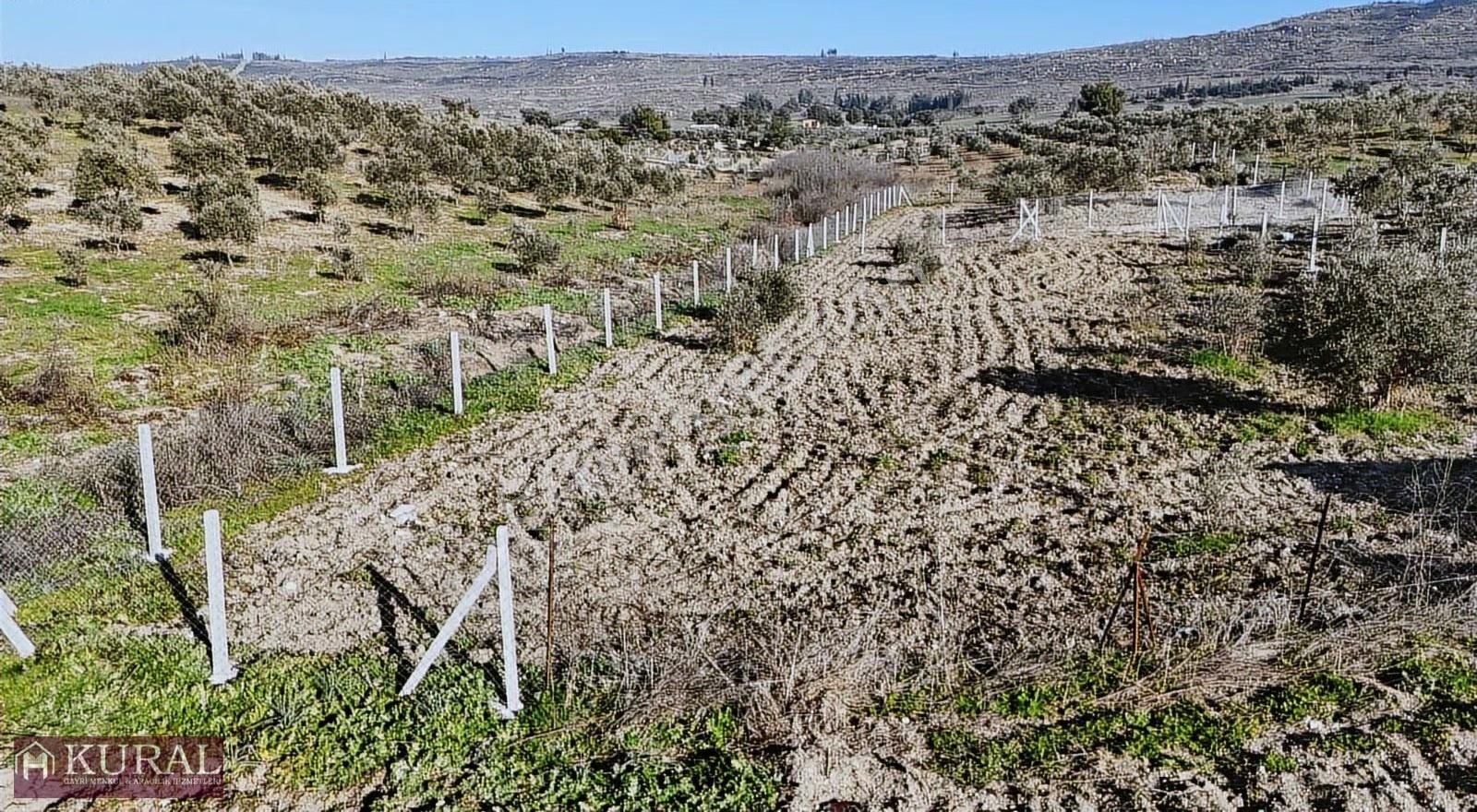 Tekeli-develi Üstünde 682 M2 Tapudan Satışlı Menderes İzmir - Görsel 27