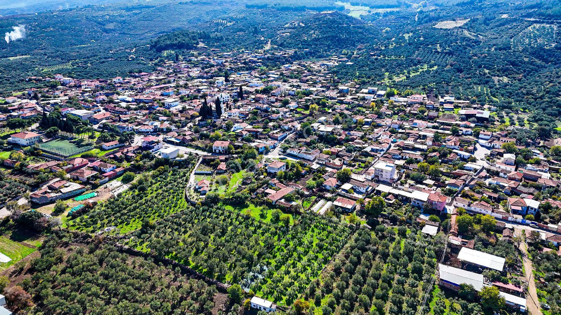 3.5 Dönüm İmarlı Arsa + Müstakil Ev + Zeytinlik + Tra - Görsel 13
