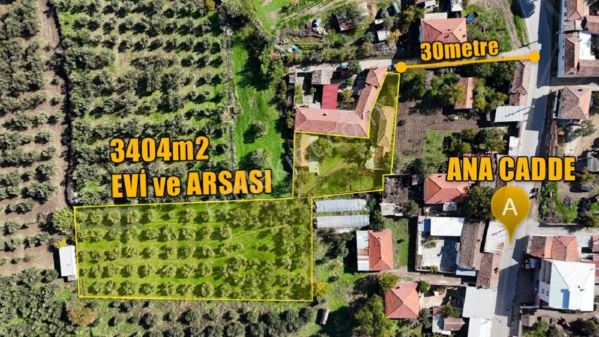 3.5 Dönüm İmarlı Arsa + Müstakil Ev + Zeytinlik + Tra - Görsel 4