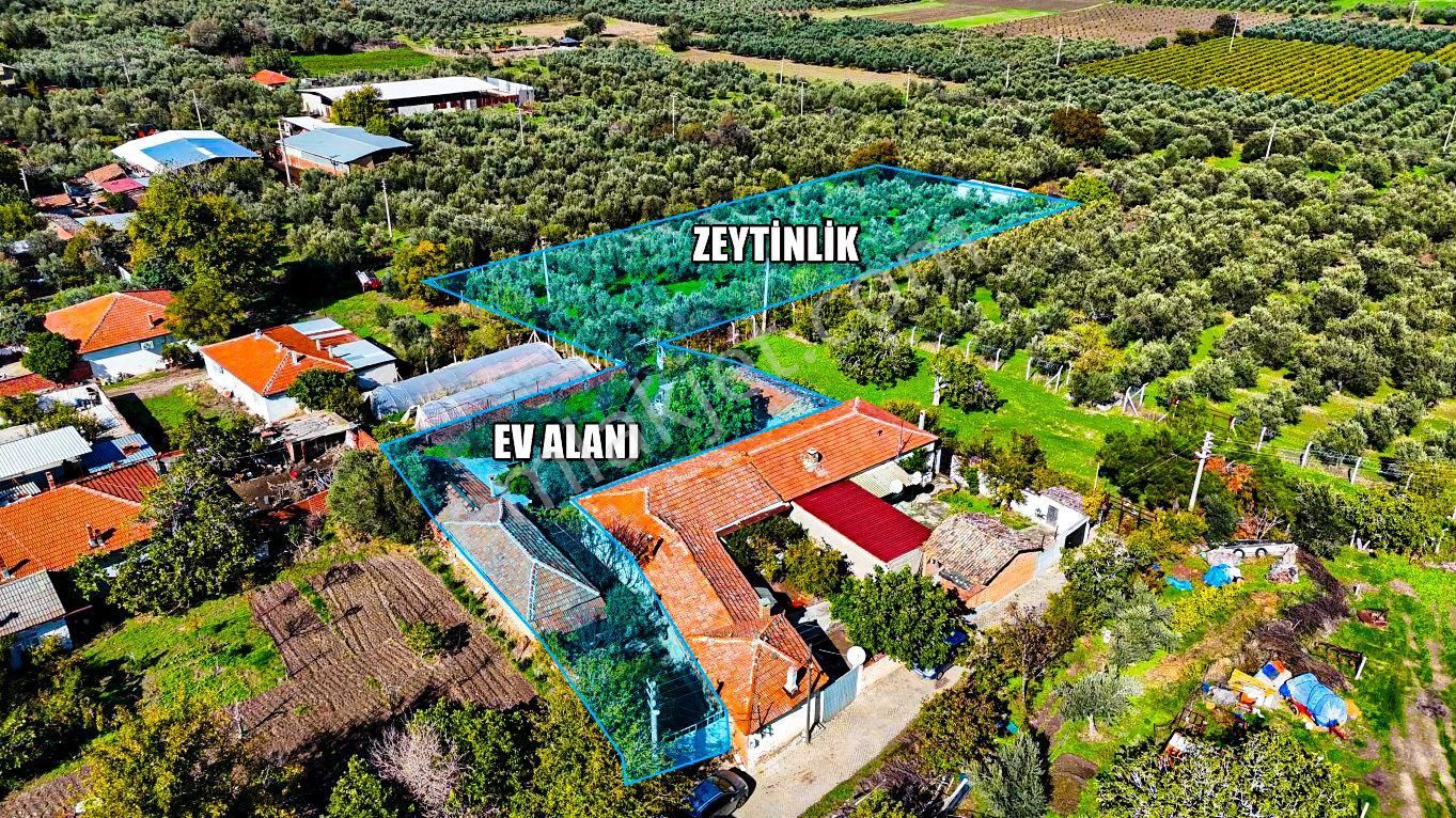 3.5 Dönüm İmarlı Arsa + Müstakil Ev + Zeytinlik + Tra - Görsel 6