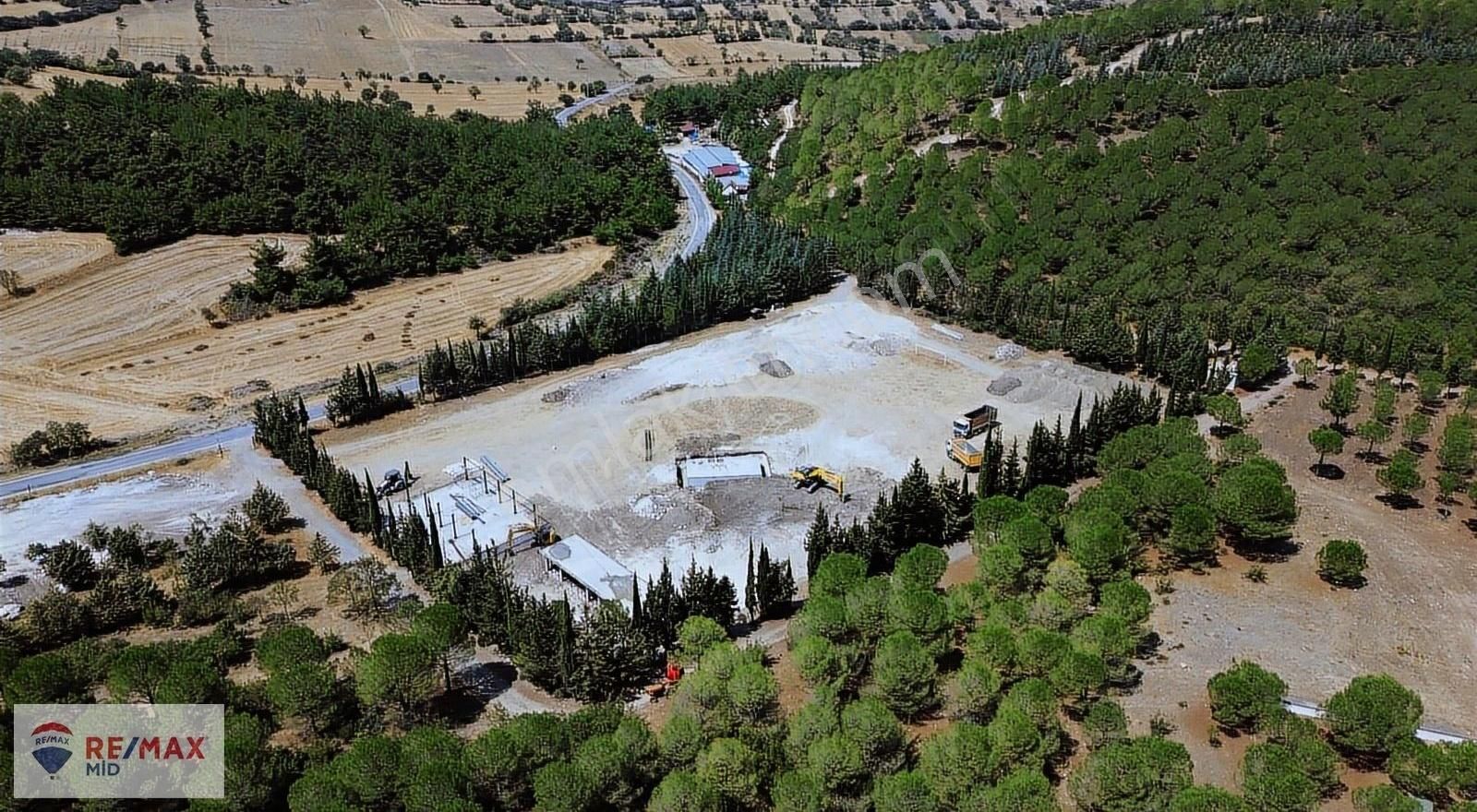 Ormania Sakini Olmak İster Misiniz?