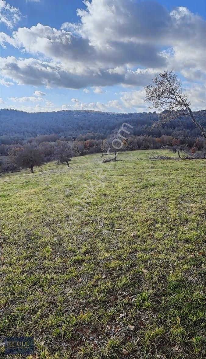 Ulc Prestige'den Ayvacık Güzelköyde Satılık 24 Dönüm Tarla - Görsel 3