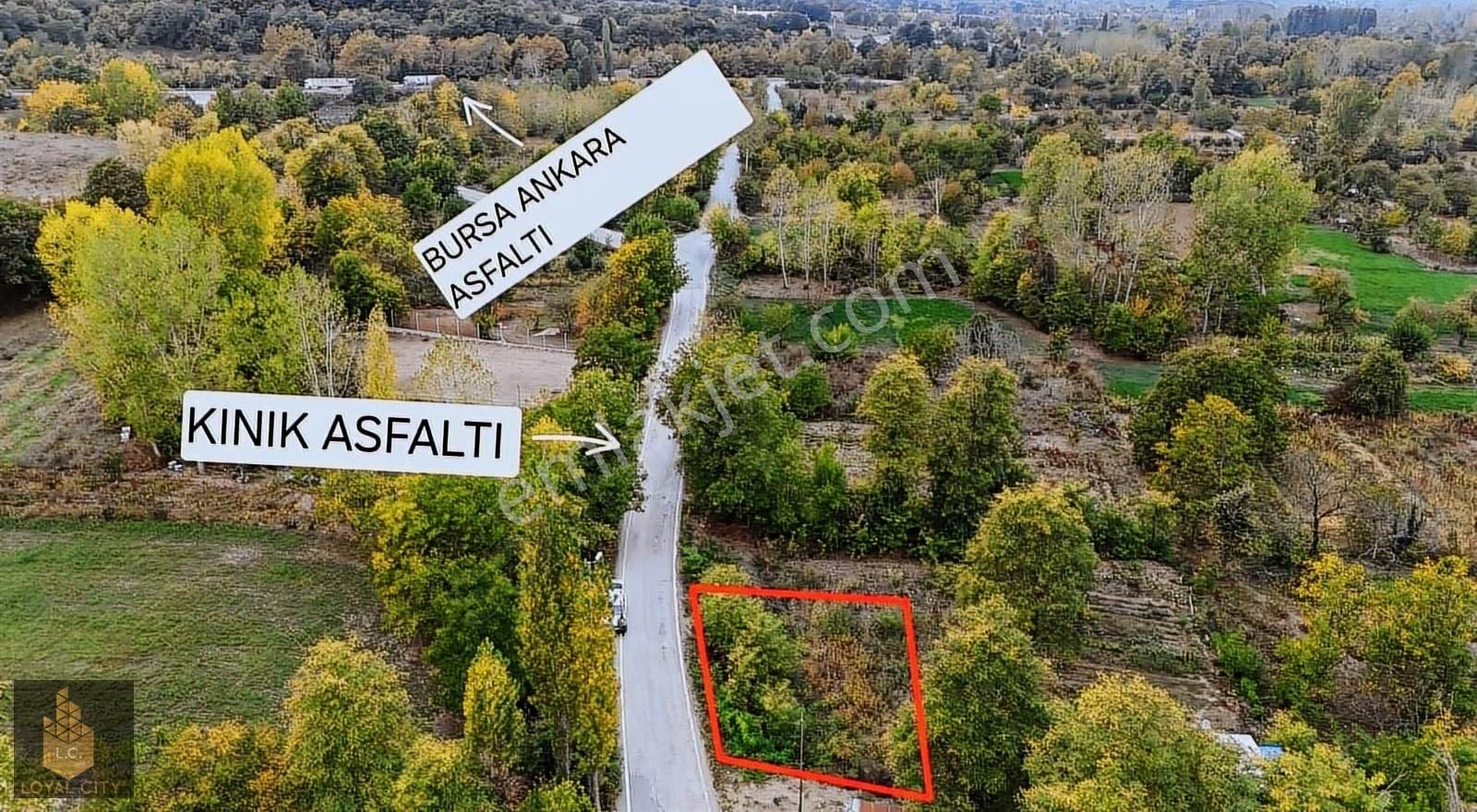 İnegöl Kınık"ta Yatırımlık Kupon Tarla - Görsel 8