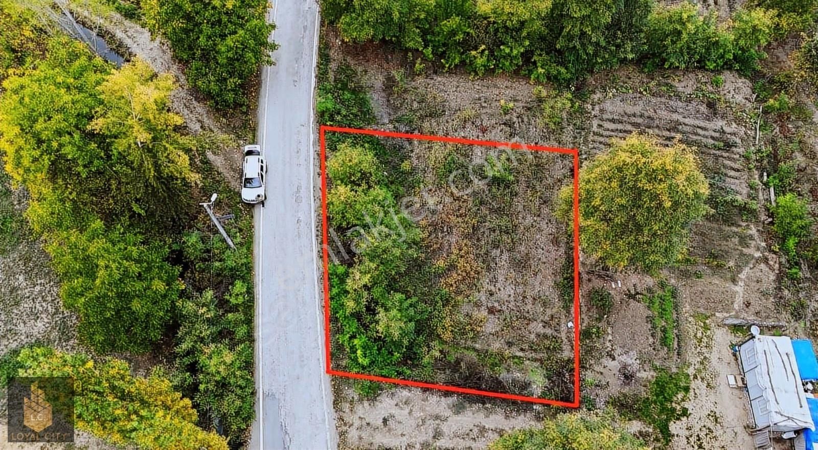 İnegöl Kınık"ta Yatırımlık Kupon Tarla - Görsel 2