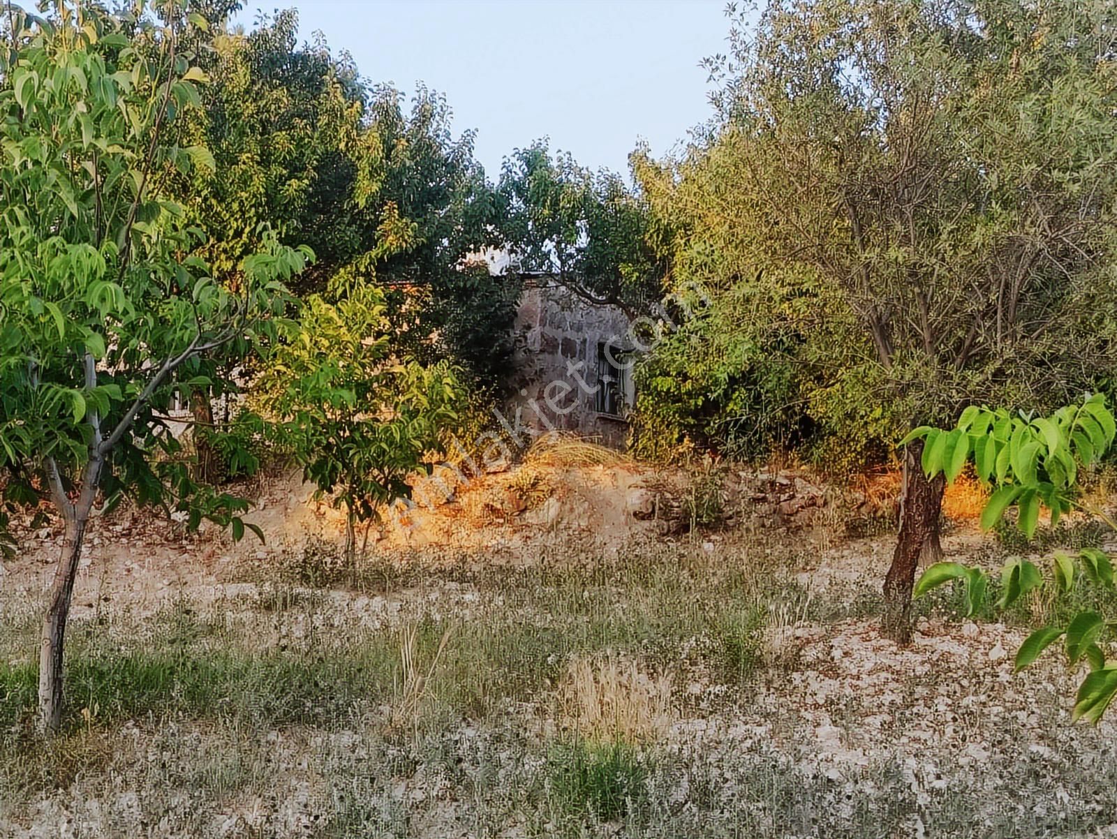 Özpınar ,dan Çavuş Köyü Satılık Tarla 19 800 M2 Su-yol Var - Görsel 17