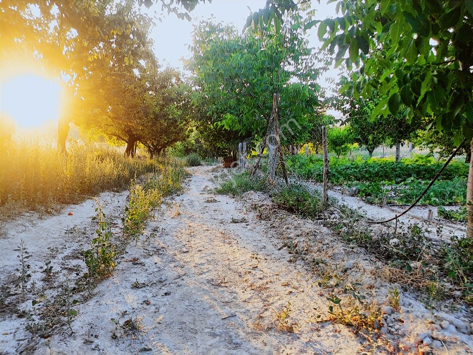 Özpınar ,dan Çavuş Köyü Satılık Tarla 19 800 M2 Su-yol Var - Görsel 12