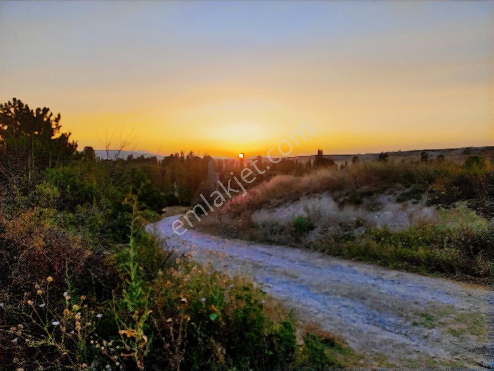 Özpınar ,dan Çavuş Köyü Satılık Tarla 19 800 M2 Su-yol Var - Görsel 18