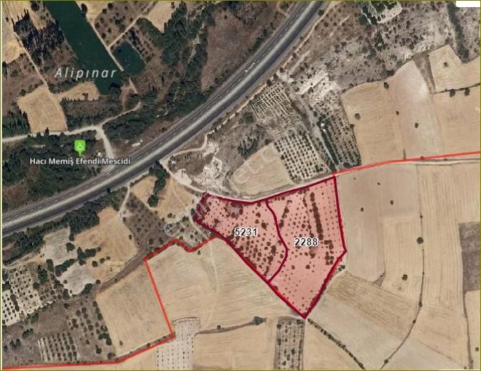 Özpınar ,dan Çavuş Köyü Satılık Tarla 19 800 M2 Su-yol Var - Görsel 20