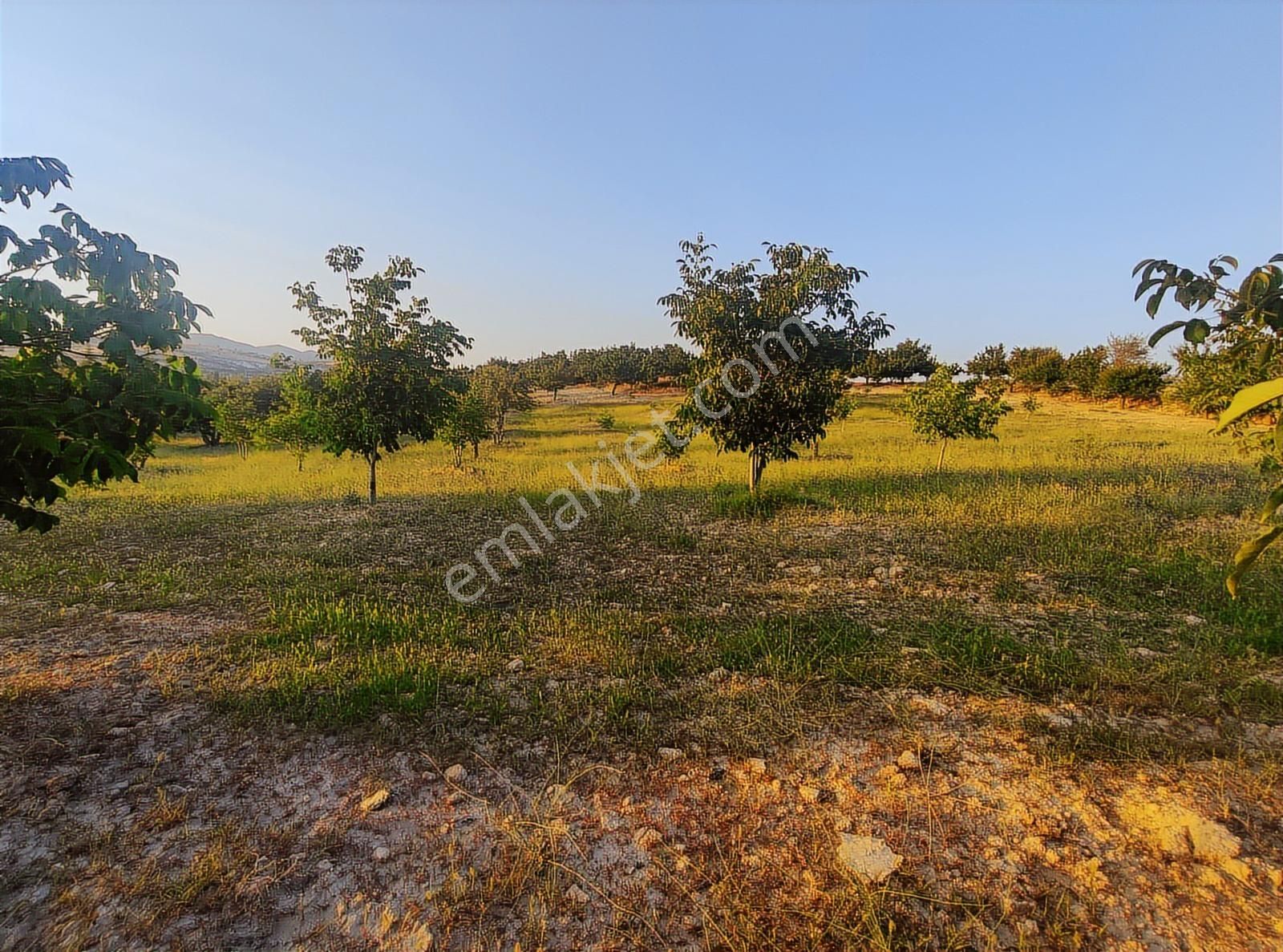 Özpınar ,dan Çavuş Köyü Satılık Tarla 19 800 M2 Su-yol Var - Görsel 28