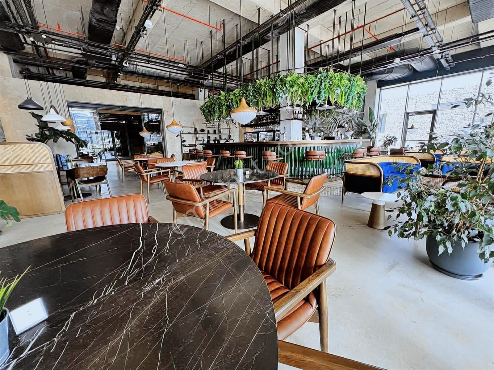 Adress Life'den Düşler Vadisi Riva'da Muhteşem G Tipi 6+1 325m2 - Görsel 8