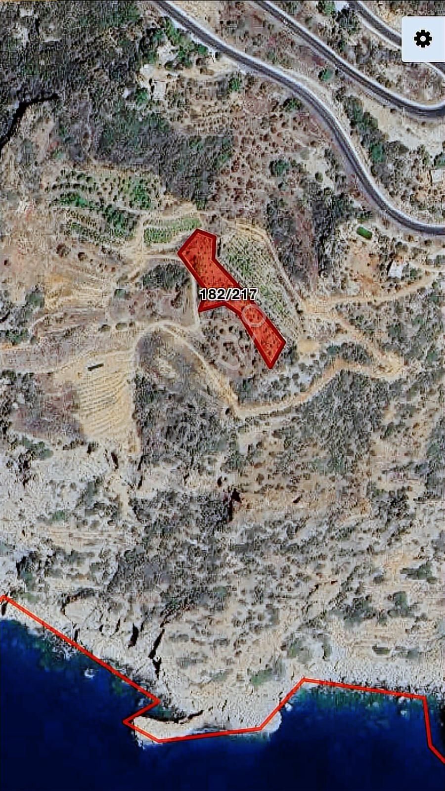 Gazipaşa Zeytinada'da Full Deniz Manzaralı Fırsat Arazi - Görsel 5