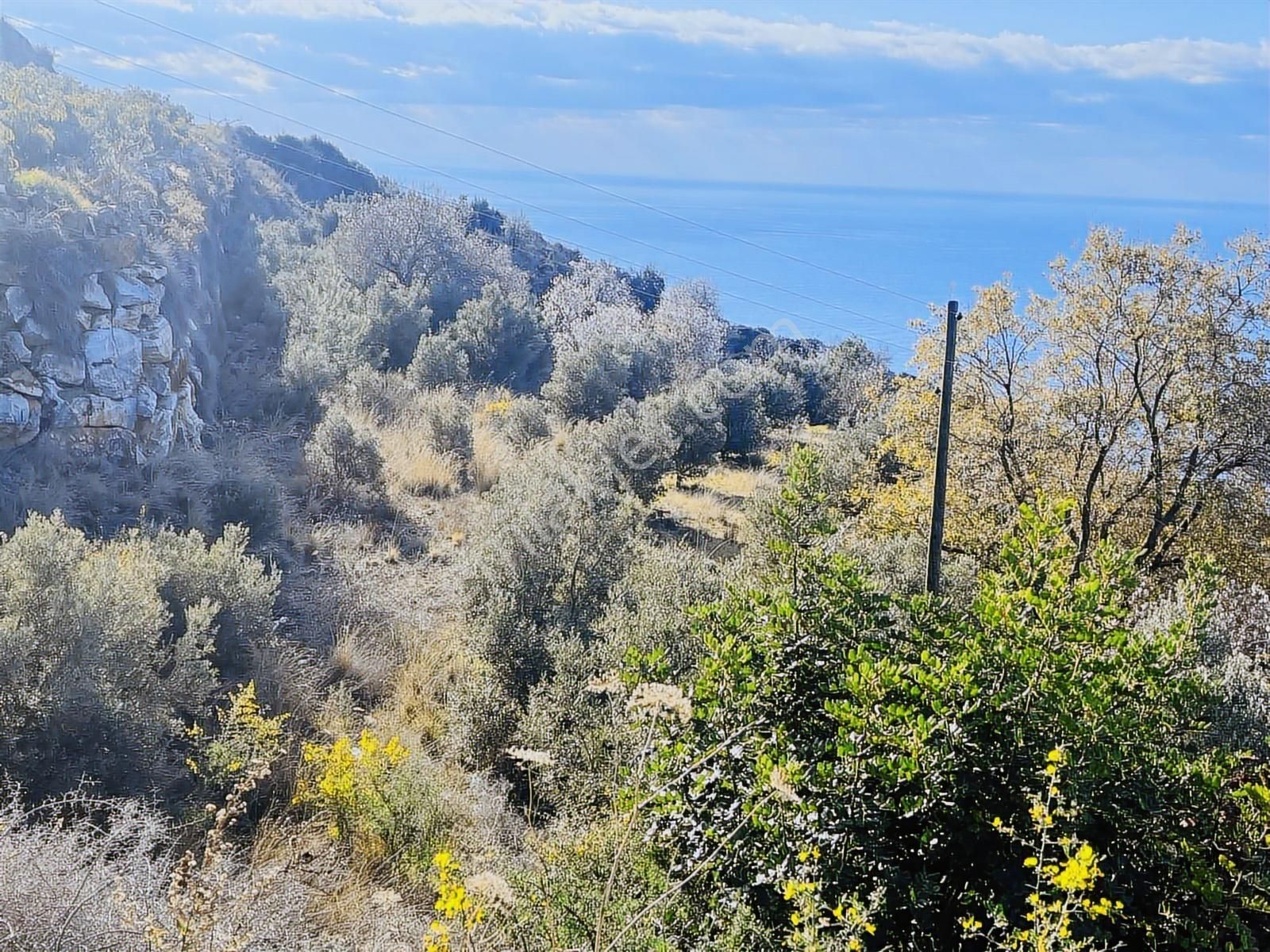 Gazipaşa Zeytinada'da Full Deniz Manzaralı Fırsat Arazi - Görsel 3