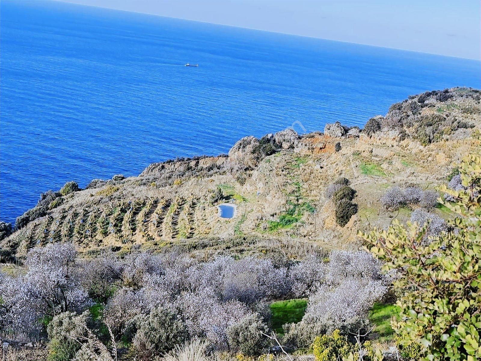 Gazipaşa Zeytinada'da Full Deniz Manzaralı Fırsat Arazi - Görsel 4