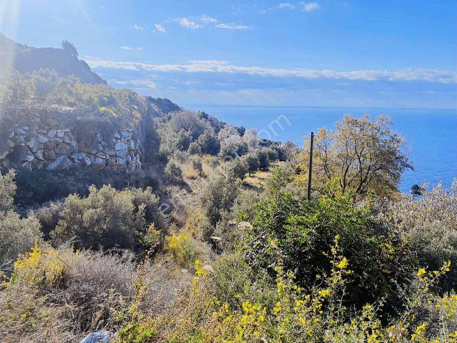 Gazipaşa Zeytinada'da Full Deniz Manzaralı Fırsat Arazi - Görsel 6
