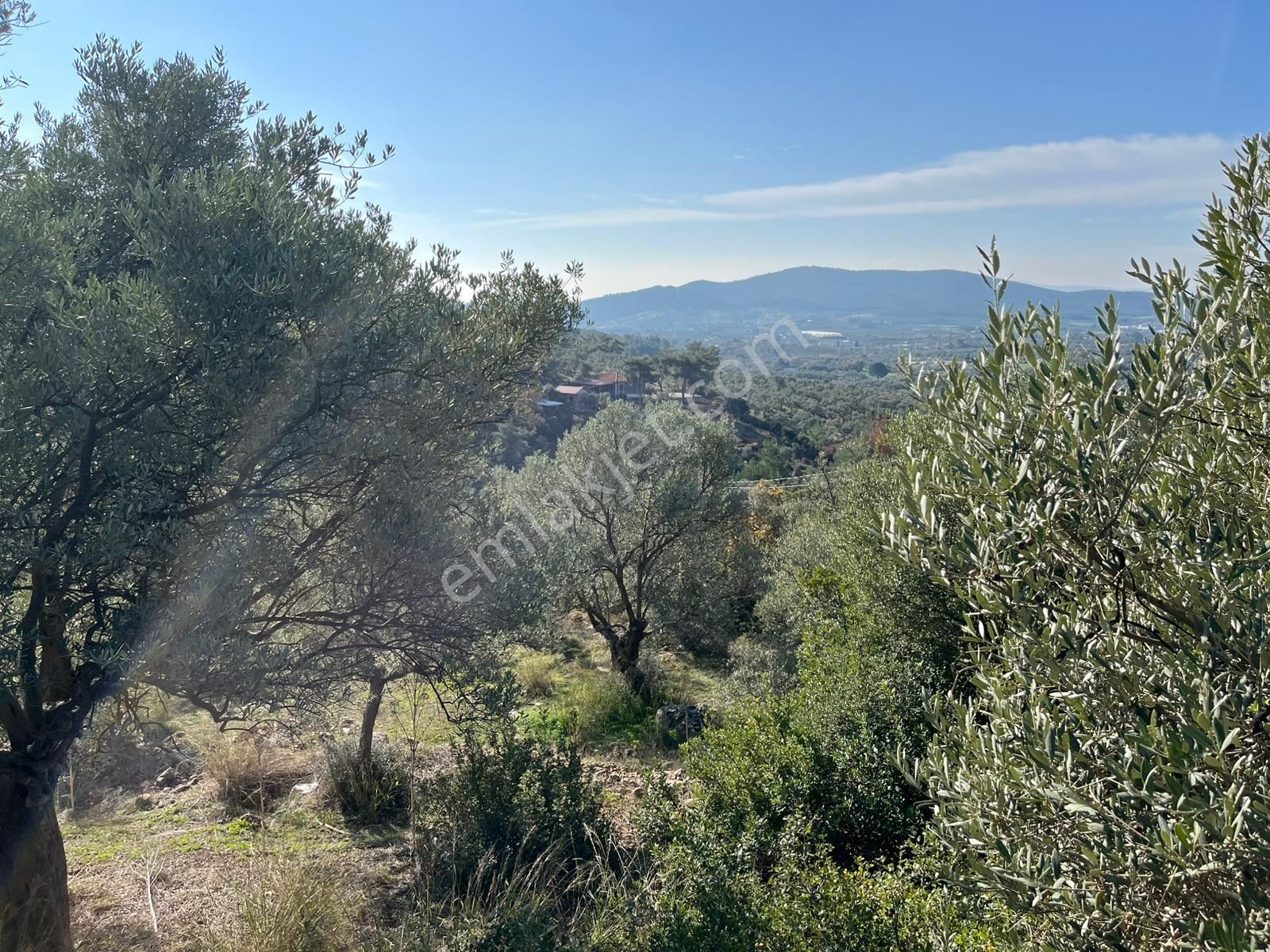 Öz-er Gayrimenkul’den | Köy İçinde, Doğa Manzaralı Satılık Tarla - Görsel 6