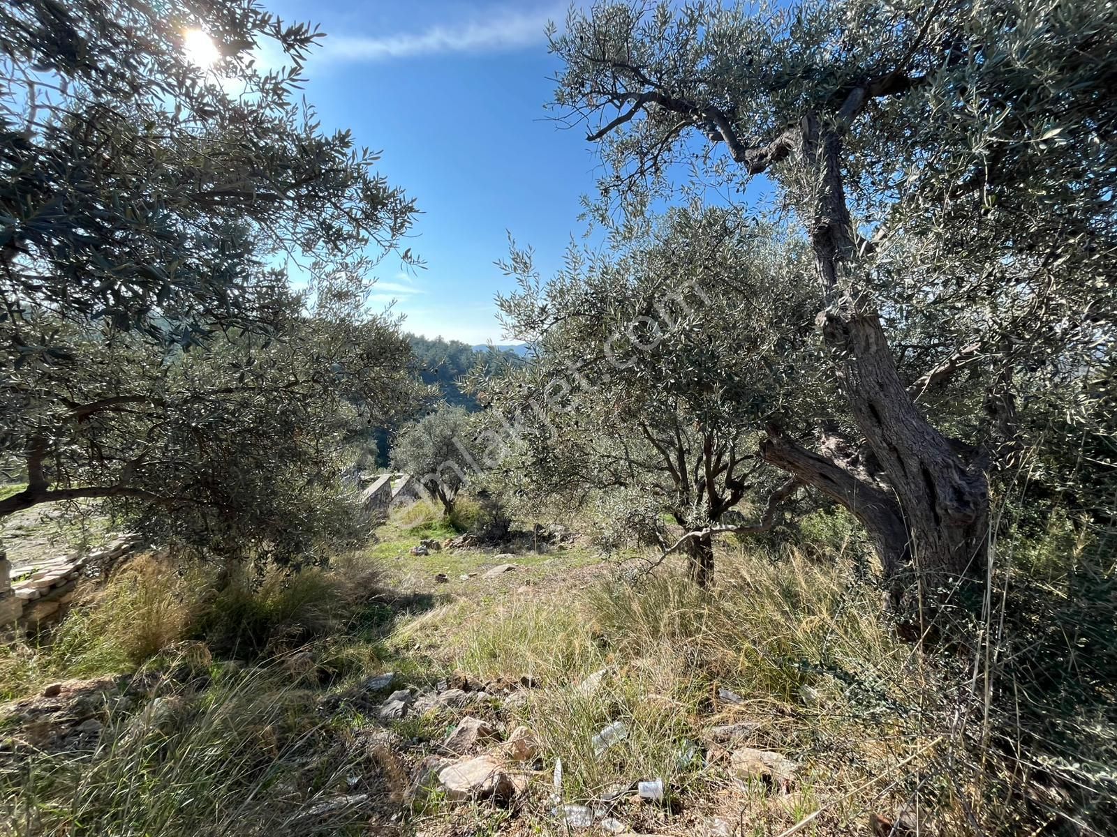 Öz-er Gayrimenkul’den | Köy İçinde, Doğa Manzaralı Satılık Tarla - Görsel 9